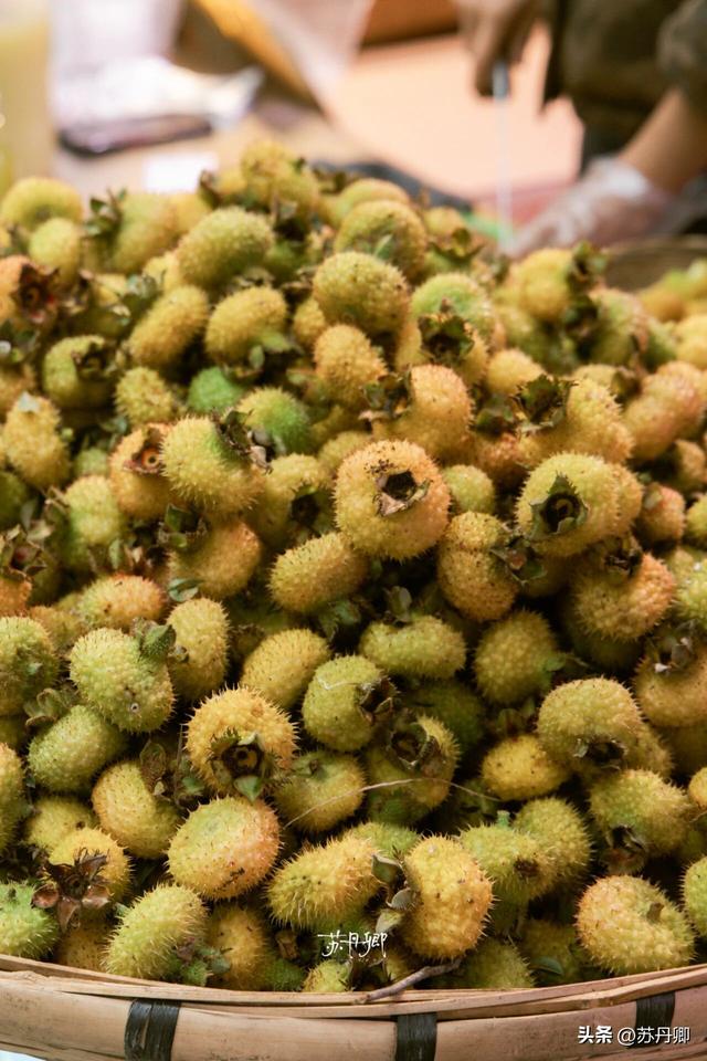 为了一只猴子！我从武汉跑去了贵阳！黔灵山的魅力不止是有猴子