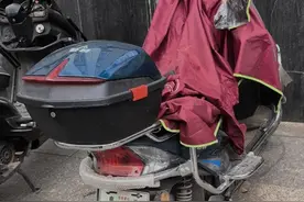 问政回音| 这是什么车牌怎么这么奇怪？图片