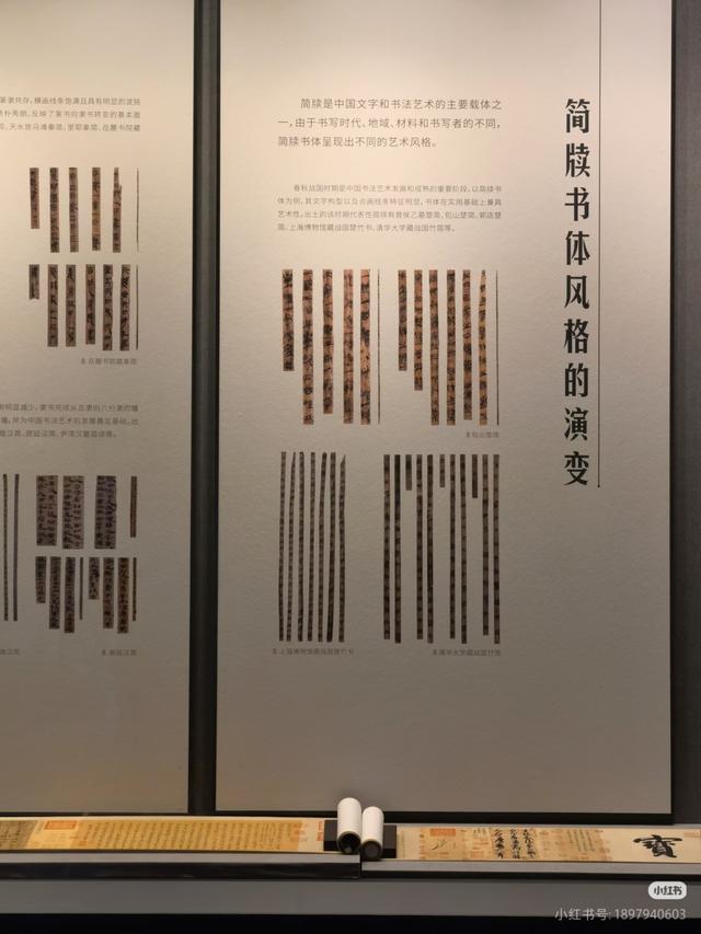 来咯来咯~临沂国庆亲子游保姆级攻略来咯~