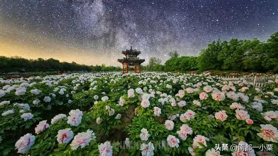 山东菏泽，四大道观