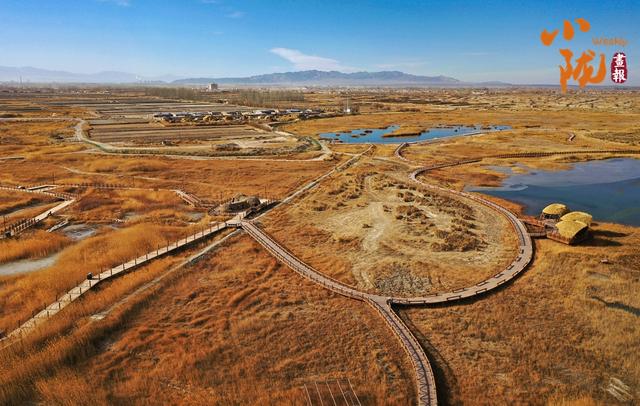【小陇画报·468期】酒泉：金镶碧嵌的湿地画卷