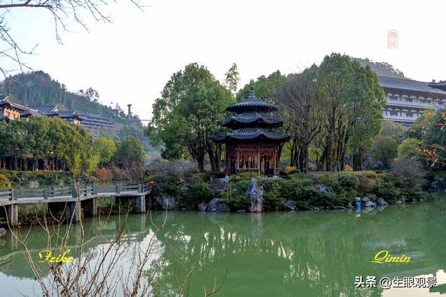 影记 | 衢州根雕艺术之都——根宫佛国(上)