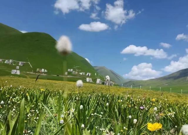 阿科里：处在高原深处的避暑胜地