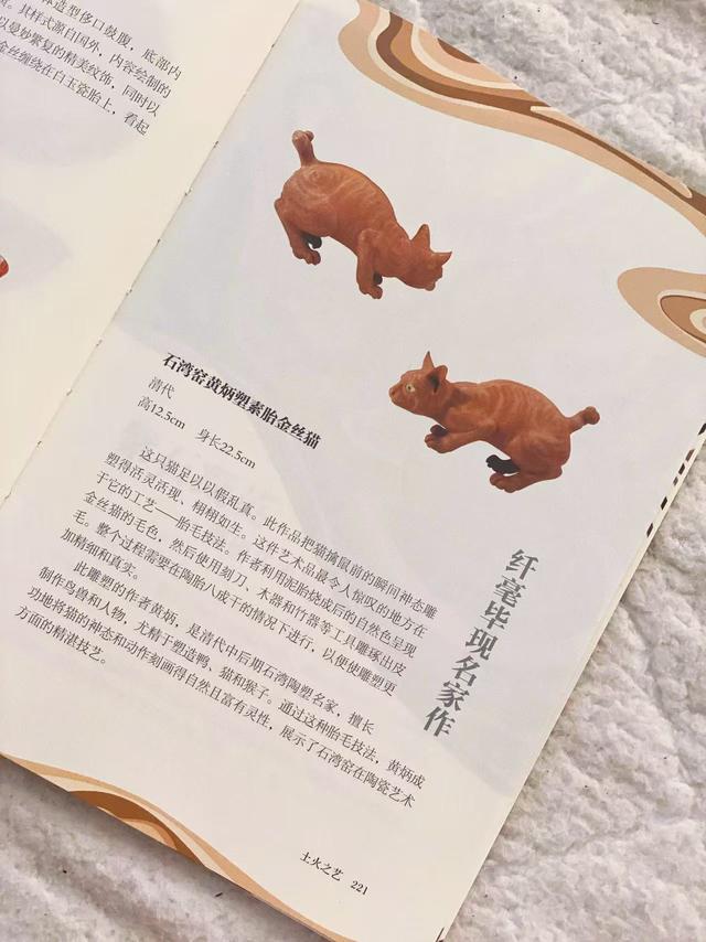 广东省博物馆官方打卡攻略来了
