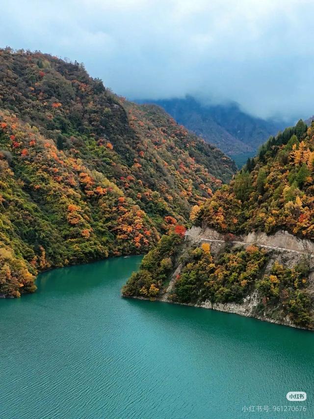 正式通车！全线免费！新挖赏秋天花板小城，绝美彩林不输九寨！地道美食50元吃爽！