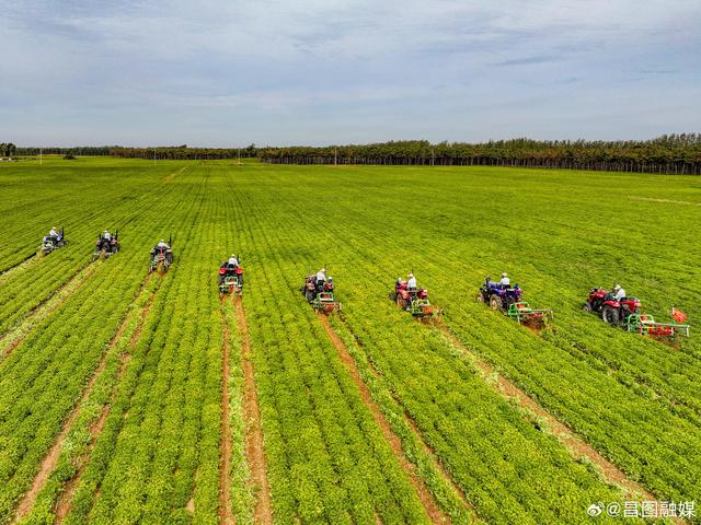 辽宁省地方政府专项债申请与应用现状分析报告