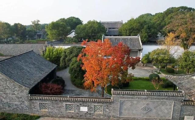 全屏“封神”！这可是全椒初冬的超绝顶流！