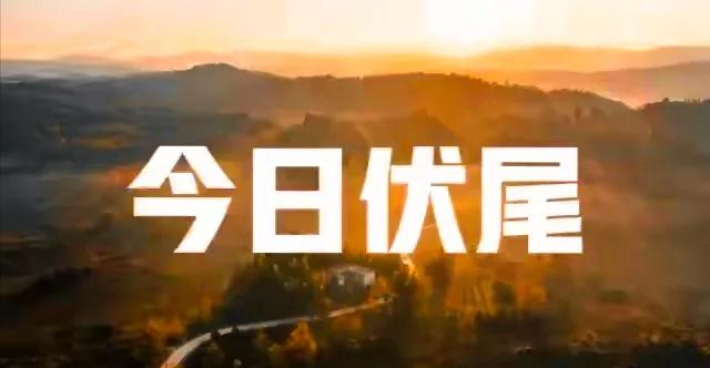 “秋老虎来不来，就看伏尾”，今日伏尾，今年秋老虎凶吗？早了解
