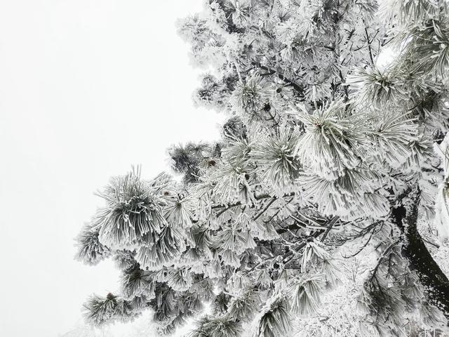 冰雕玉琢 云上仙宫