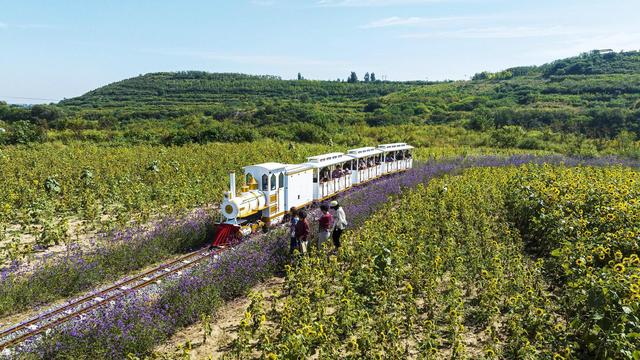 “工业锈带”蝶变“文旅沃土”——复兴区激发农文体旅融合发展新动能