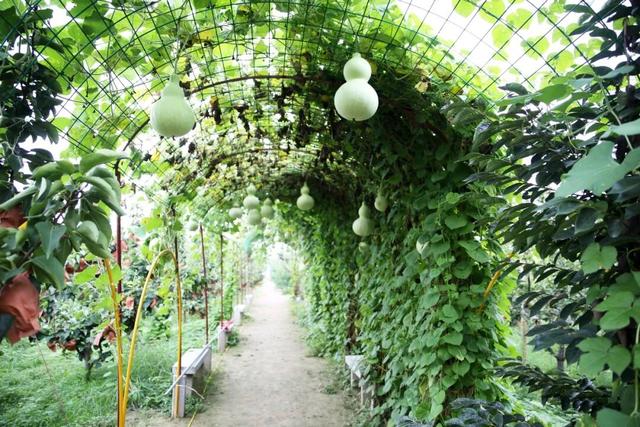 多彩滨州迎双节 文旅好礼乐不停│双节“邹”趣游，这份“逛吃”攻略请收好！
