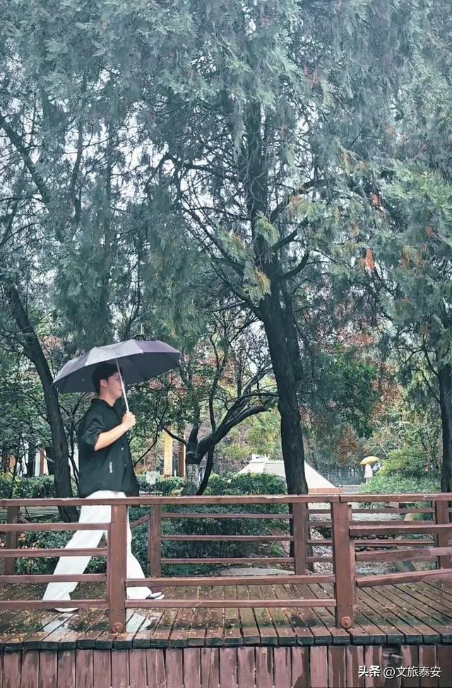 美极啦！下雨天去上班，小泰竟发现岱庙不同以往的一面→