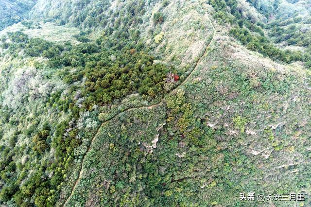 北山嵯峨