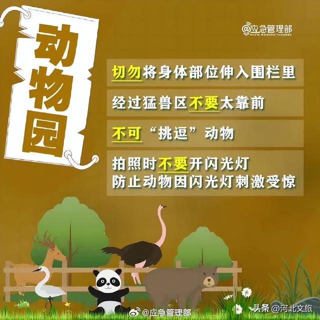 景区打卡，这些攻略你得“码”住→