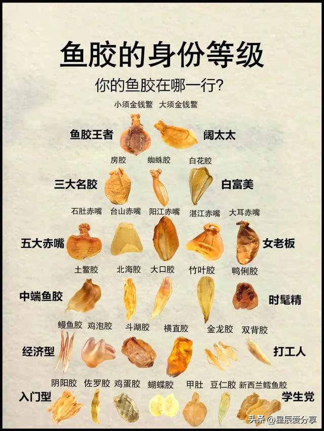 佐罗鱼胶一斤多少钱 2025年佐罗鱼胶的吃法