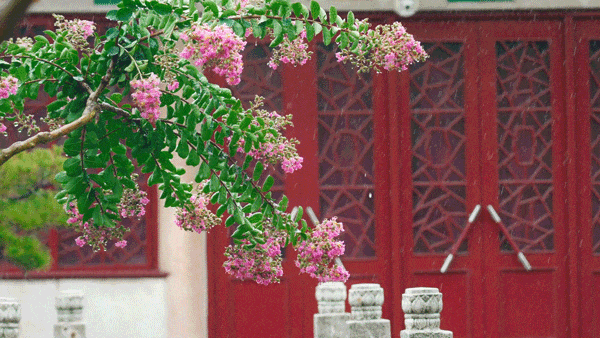 狂降10℃，武汉最凉快的一周，这样玩