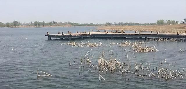 丰县河底藏着一座"地下宫殿"？石马石狮守护的明代官场密码