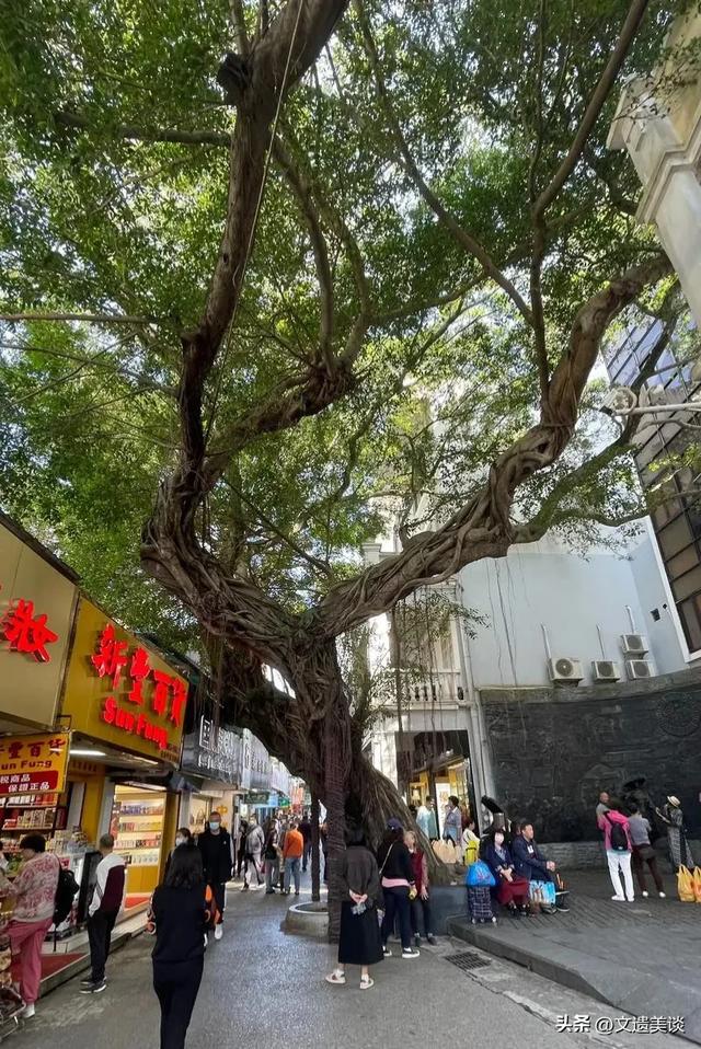 谁说深圳无古色?两座古城+四条古墟+十个古村,鹏城古色别样美