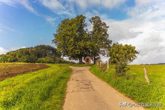 不追他人脚步，平凡亦有光芒，活成自己的模样