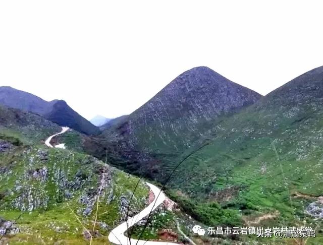 云岩青莲记