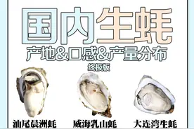 国内生蚝产地分布大盘点图片