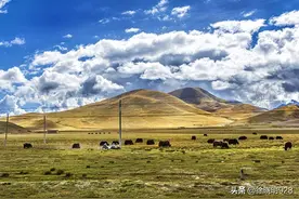 高原反应的生理机制图片