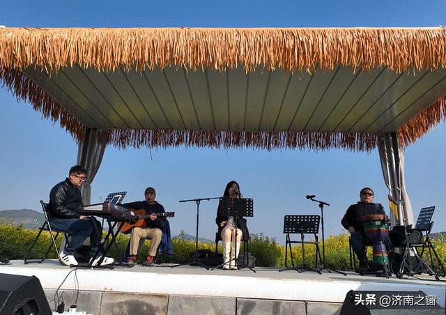 菊田为幕 天籁为章 长清神秀谷百亩金菊盛开