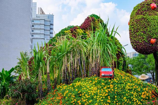 这很中国！长安街10座花坛植入80年历史变迁——
