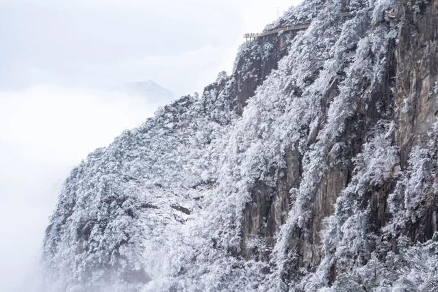 绝美！明月山今日雪景持续放送，速来打卡！