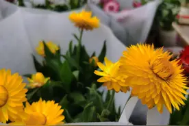未来越来越好的人都是什么样的人图片