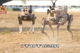 时代真变了！“机器狗”升级“机器狼”无人作战小队首次亮相珠海图片