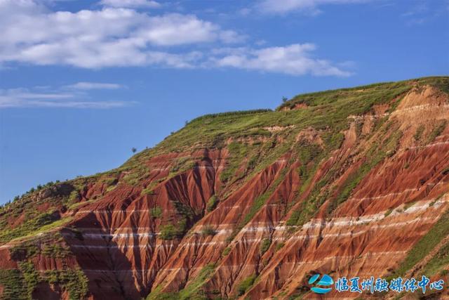 东乡大地的浪漫情书——“羊肉卷”