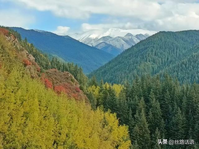 图集丨秋色斑斓 步入绿野仙踪的秘境——焉支山