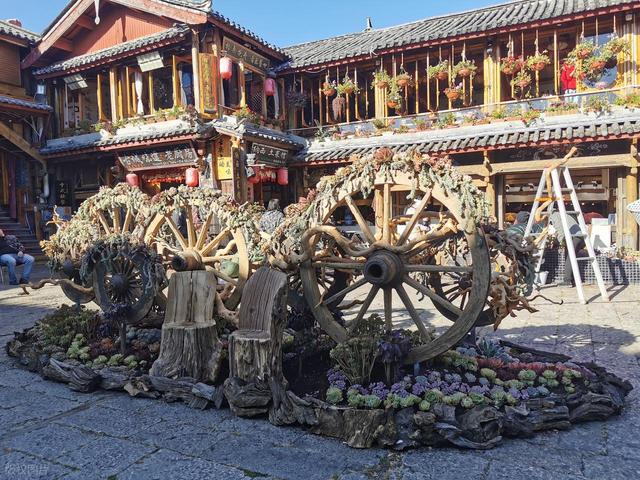 跟着男朋友到了丽江生活了一年了，说实话，我羡慕丽江的生活