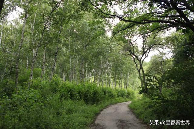 萨尔浒：历史与自然交织的梦幻之旅