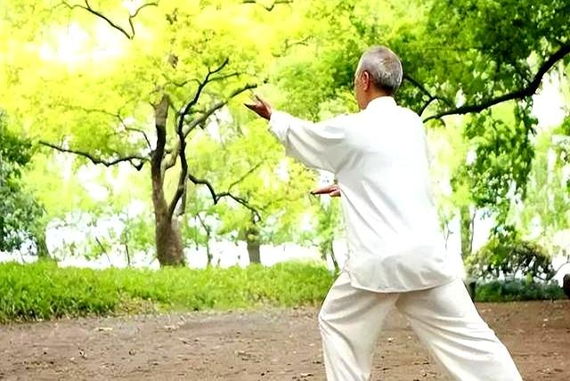这篇文章把“太极拳的一动无有不动”说清楚了！你学会了吗？