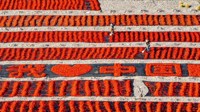 中国奉陪到底！《东京宣言》发布，日文版超过7页，高市换新打法