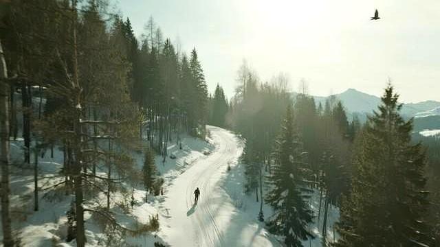 冬天停骑=白练！骑行专家实锤：4周体能缩水15%，这样练开春封神