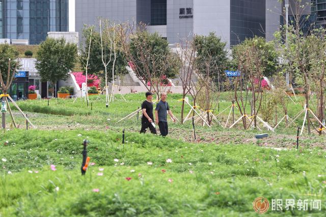 这处新增小游园正式亮相 位于乌鲁木齐文化中心北侧，占地60亩