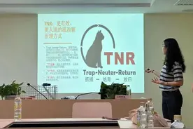 2年70多只流浪猫……这位90后博士生的故事刚刚开始图片