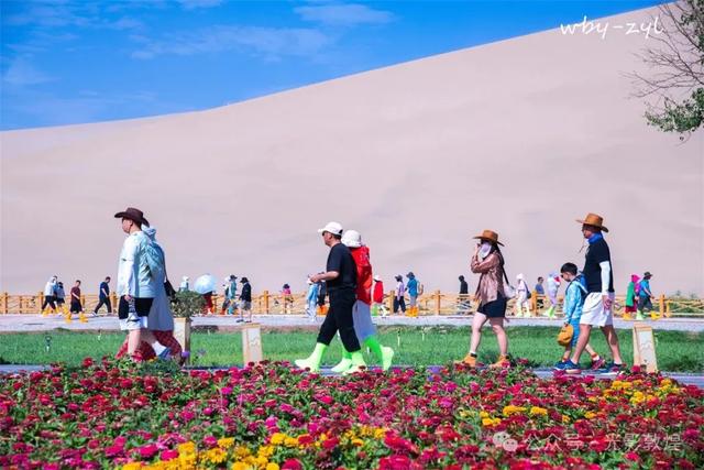 快来看，大漠敦煌又一波花海来袭