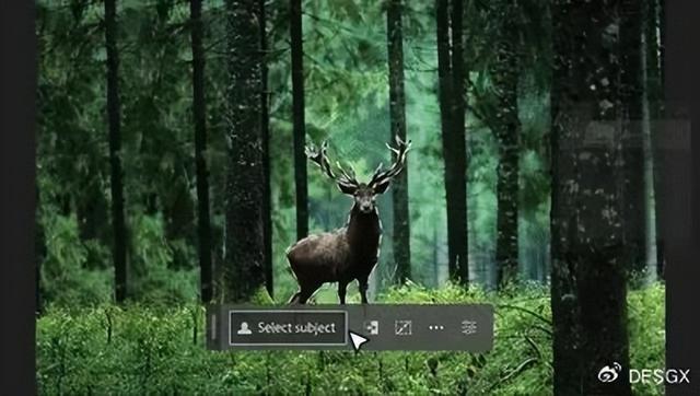 Adobe2024全家桶最汉化破解版，支持mac/win系统，免费下载