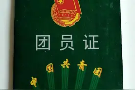 共青团员怎么加入图片