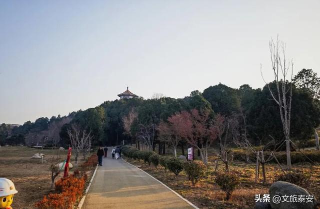 Citywalk必打卡！快来泰安这处公园，领取「浪漫可爱」的心灵治愈指南！