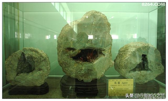 山东行游影记（31）—平邑天宇自然博物馆（六）