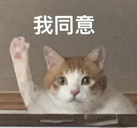 又一提前发布的顶配国产神机，要逼死小米啊？