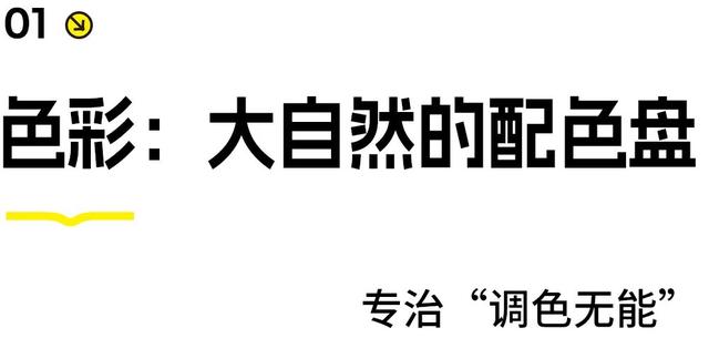 素颜版巴黎走红，推荐一处不“照骗”的目的地！