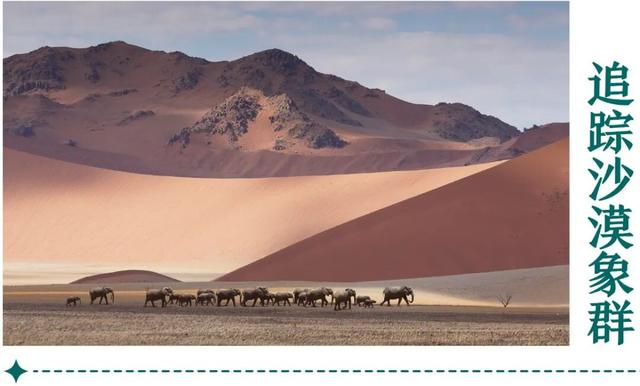 地理冷知识—2026全球最佳旅游地