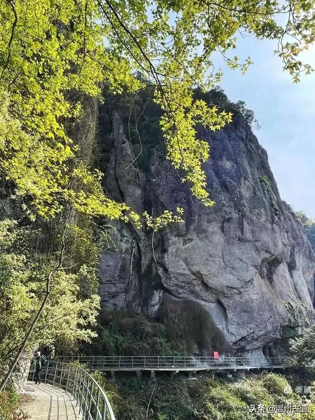 藏于浙江5A景区内有一处“十里铁甲龙”，洞穴众多形态奇特