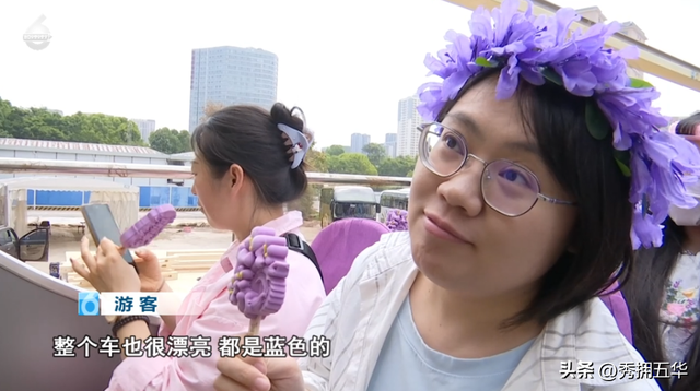 已经开始排队了！蓝花楹赏花巴士试运行